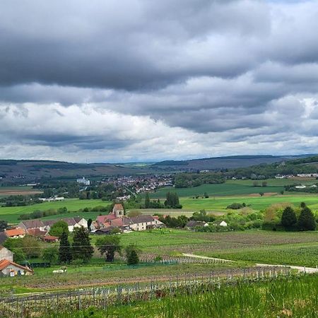 Le Coq De Champagne Villa Dormans Екстериор снимка