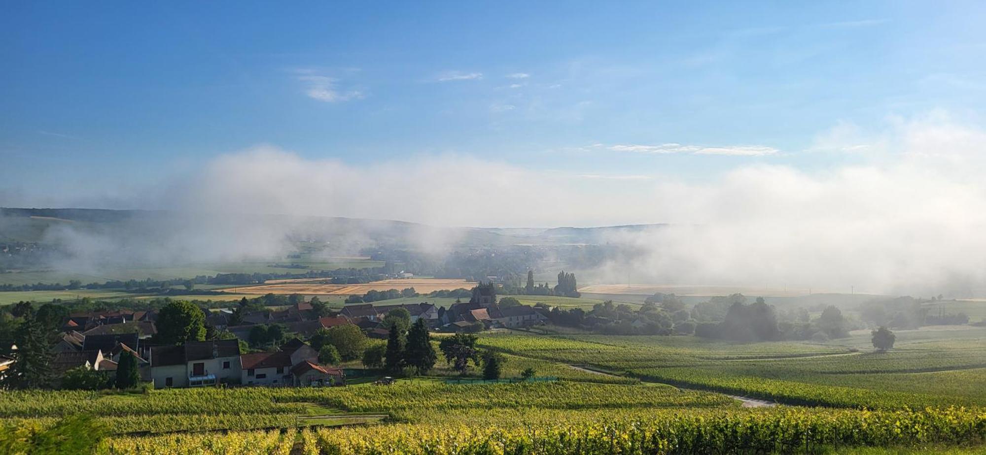 Le Coq De Champagne Villa Dormans Екстериор снимка